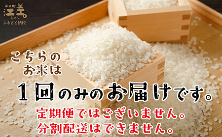 【令和8年産　新米予約：10月より順次発送】契約農家栽培 江差追分米『ふっくりんこ』【10kg（5kg×2袋）】令和8年産　2026年産　北海道江差町産　北海道米　白米　精米　お米　おこめ　こめ　ご飯