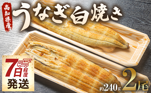 うなぎ白焼き 2尾(合計約240g) 無頭 うなぎ屋きた本 【7日程度で発送】 - 送料無料 鰻 ウナギ 魚介 惣菜 ギフト のし 贈り物 プレゼント 贈答 丑の日 うなぎ屋きた本 高知県 香南市 冷凍 un-0083