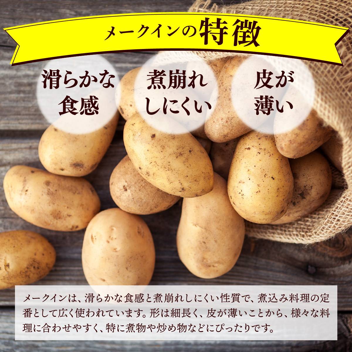 やまけんや じゃがいも 2種 計5kg メークイン インカのめざめ いも 芋 イモ ジャガイモ  馬鈴薯  甘い 旬 農作物 野菜 ほくほく ホクホク クリーミー なめらか 国産 お取り寄せ 常温 送