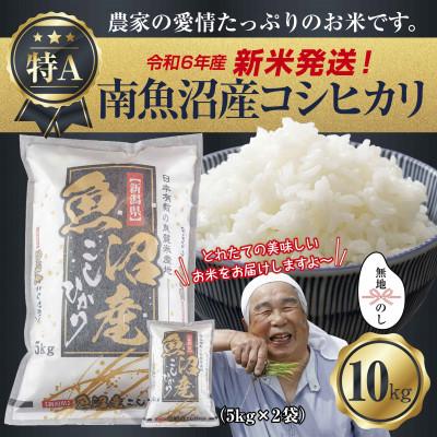 ふるさと納税 南魚沼市 無地のし 令和7年産 南魚沼産 コシヒカリ 10kg (美味しいお米の炊き方ガイド付)