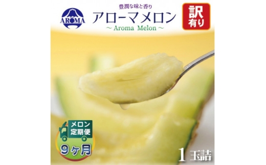 ＜毎月定期便＞＜訳あり＞クラウンメロン 1玉　全9回【4071999】
