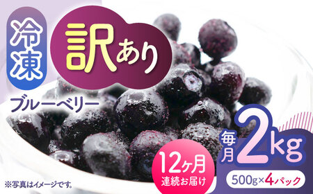 【12回定期便】【訳あり】 冷凍ブルーベリー 小粒 約2kg（約500g×4pc） 【すみれファーム】[ZEP056]