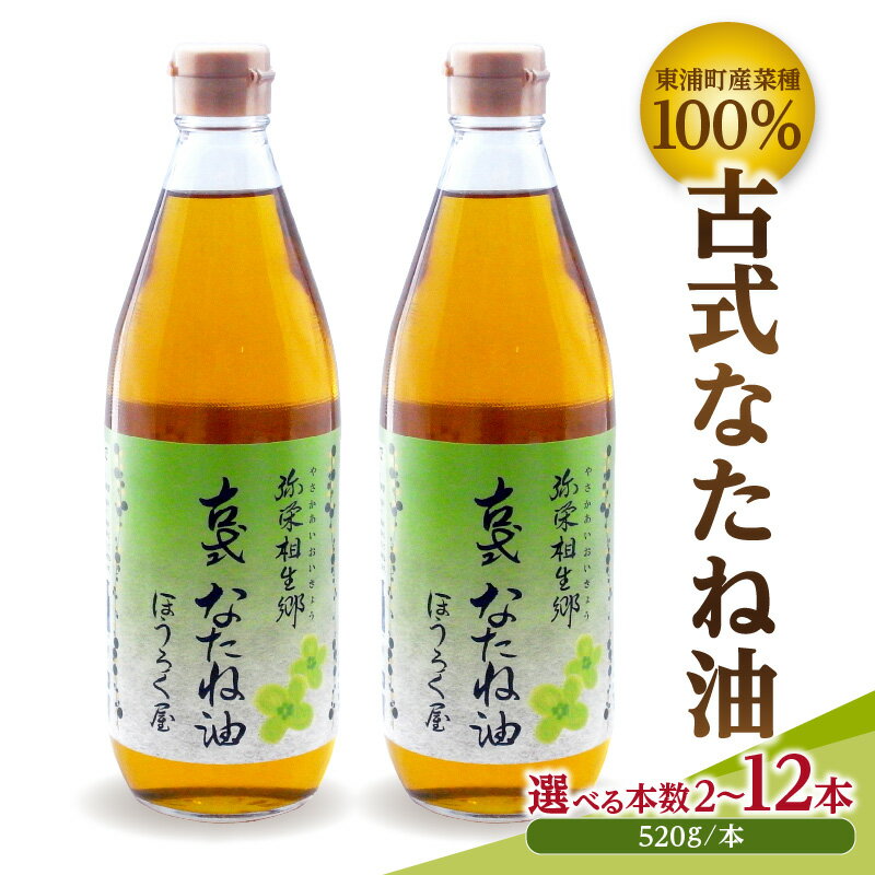 【ふるさと納税】古式なたね油 (東浦町産菜種100%) 520g入り｜菜種油 調味料 国産 無農薬 愛知県 [0683-0687]