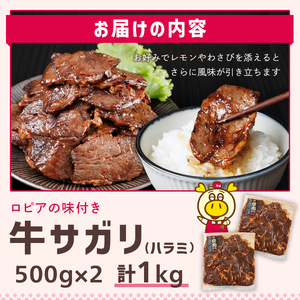 ロピア 牛サガリ / ハラミ 味付け肉 (計1kg・500g×2)  LOPIA  ＜離島配送不可＞ 【ksg1822】【ロピア】