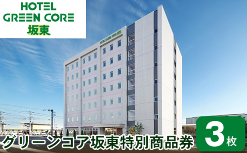 No.218 グリーンコア坂東特別商品券 ／ チケット 金券 ホテル 宿泊 茨城県