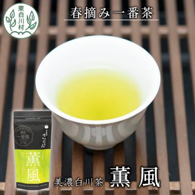 ふるさと納税 東白川村 白川茶 茶蔵園 上煎茶 「薫風-くんぷう-」 煎茶