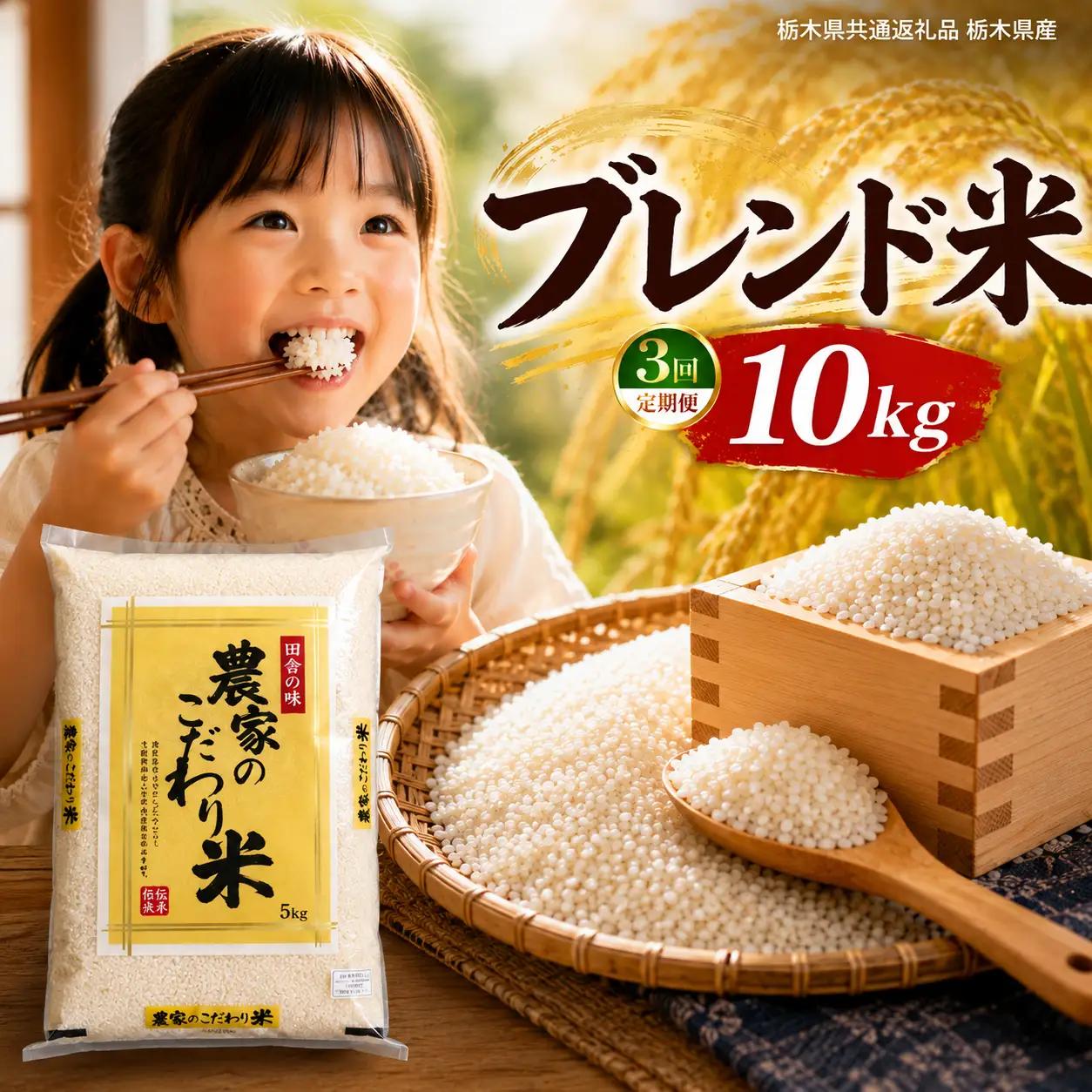 【定期３回】栃木県産 ブレンド米 10kg【栃木県共通返礼品】