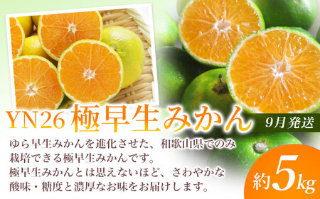 【定期便全3回】産直・厳選フルーツ定期便