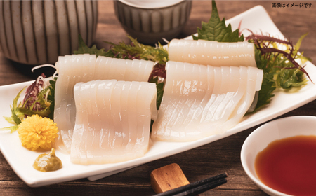 　【冷凍】壱岐産剣先イカフィレ(80g)×5枚　壱岐産粒うに瓶60g×1本　《壱岐市》　【一支國屋】[JCC013]