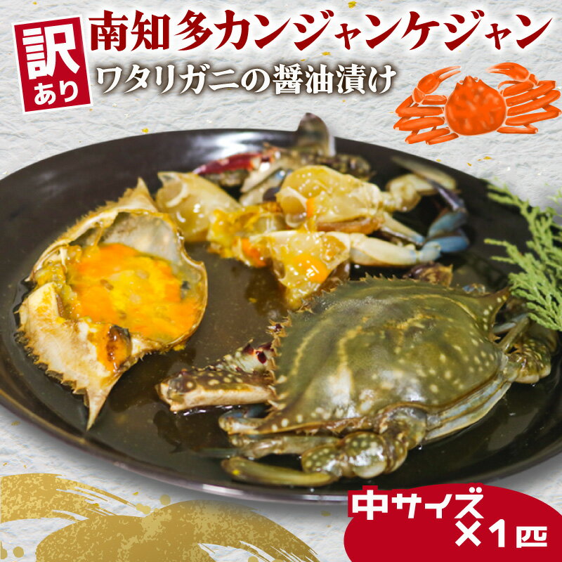【ふるさと納税】 訳あり 南知多カンジャンケジャン カンジャンケジャン 中蟹1匹 魚介 魚介類 ワタリガニ 渡蟹 蟹 新鮮 グルメ カニ お米 に合う コメ に合う こめ に合う ご飯 のお供 おすすめ 晩酌 肴 おかず そうめん 雑炊 濃厚 内子 海の幸 国産 夕食 愛知県 南知多