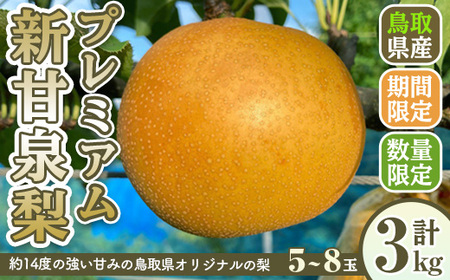 ＜先行予約受付中！8月下旬～11月上旬発送予定＞＜数量限定＞こばやし農園プレミアム新甘泉梨(計3kg・5～8玉) ふるさと納税 境港市 特産品 ジューシー 完熟 なし ナシ 果物 くだもの フルーツ 旬 【sm-CK006】【こばやし農園】
