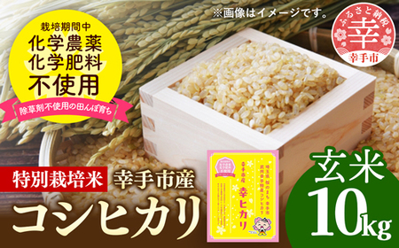 【令和7年産】無農薬・無化学肥料栽培 埼玉県幸手市産特別栽培コシヒカリ 「幸ヒカリ」玄米10kg - 米 特別栽培米 幸手市産