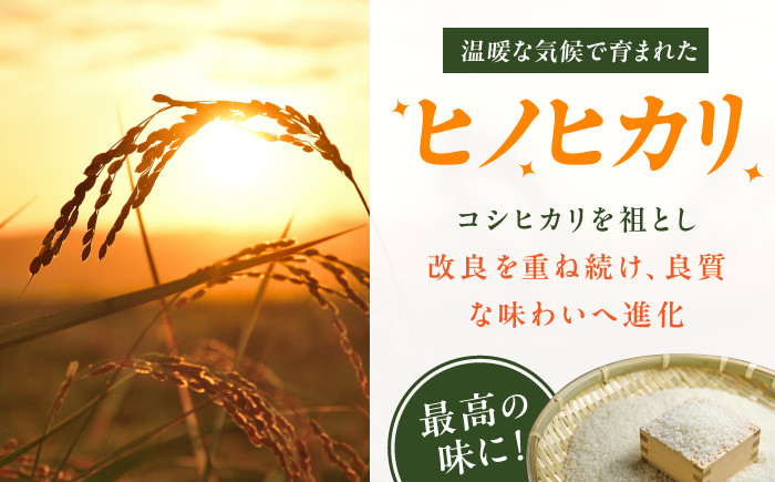 米 こめ 白米 ヒノヒカリ ブランド米 ご飯 ごはん