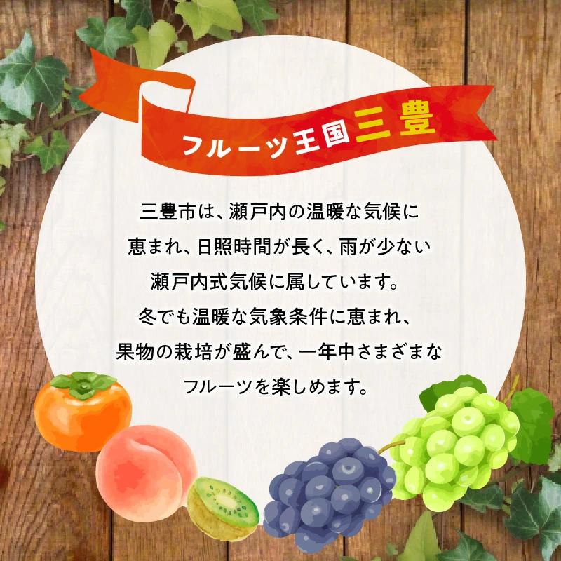 【ふるさと納税】【先行予約】【配送不可地域：北海道・沖縄県・離島】シャインマスカット 大粒 3房【800ｇ以上】【糖度17度以上】皮 旬 時期 糖度 香川 季節 種なし 贈答用 ギフト お取り寄せ 国