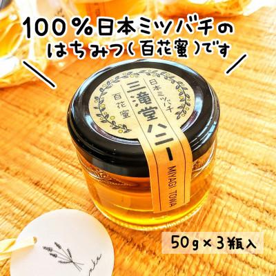 ふるさと納税 登米市 日本ミツバチ100%はちみつ【三滝堂ハニー】50g×3瓶