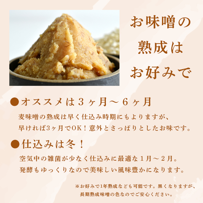 生こうじ 大阪屋の麹で作る 麦田舎味噌 セット 自分で作る 味噌 麦味噌 田舎味噌 生麹 米麹 手づくり 仕込み 食育 楽しみ