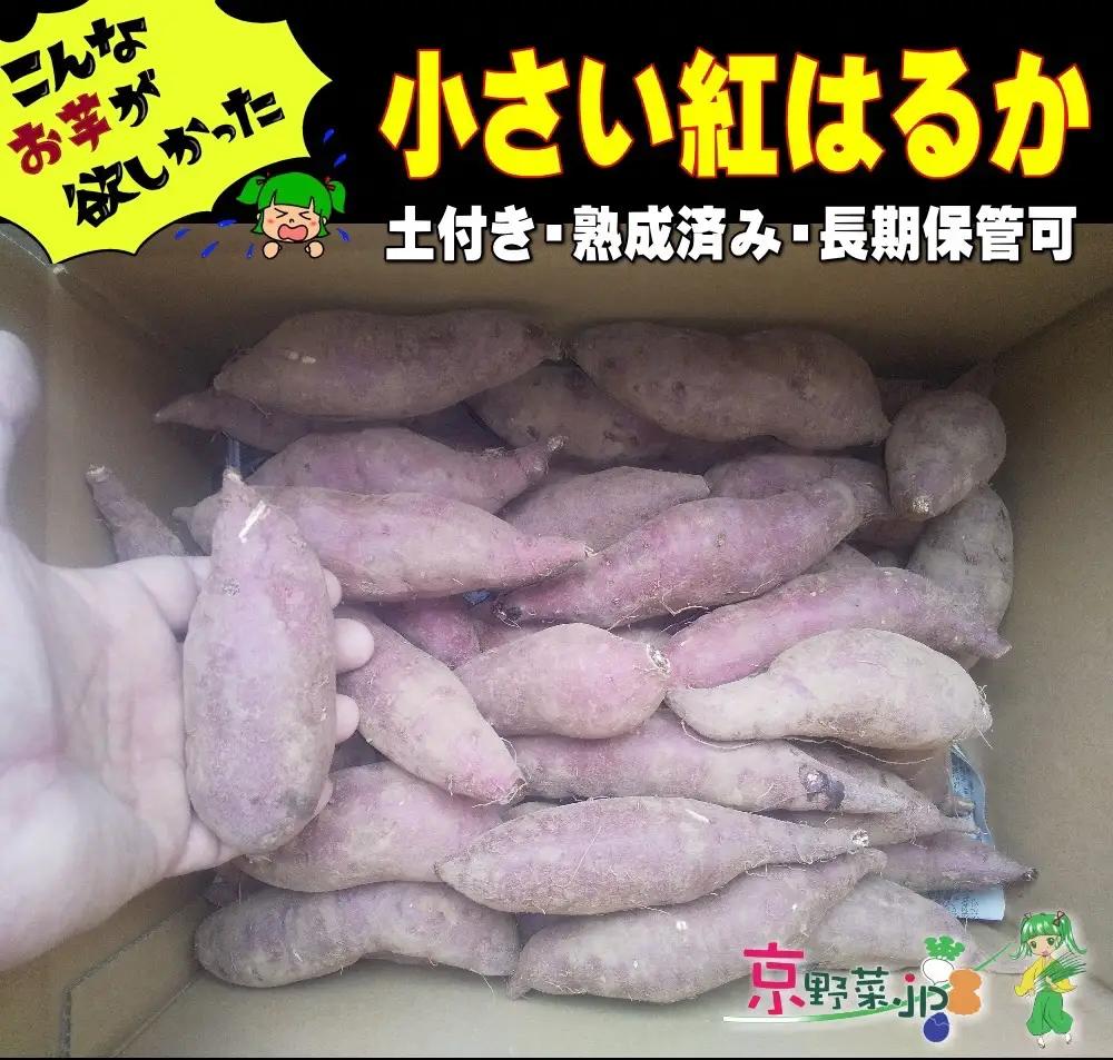 小さい紅はるか（京都産） 20kg