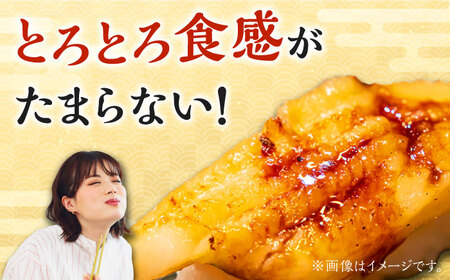 対馬産　西のとろあなご　にぎり寿司　9PAC《対馬市》【対馬水産】 新鮮 冷凍 寿司 名物 時短 簡単調理 穴子 穴子寿司[WAV015]