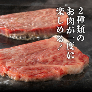 前沢牛ステーキ食べ比べ 合計480g（サーロイン・モモ 各120g×2枚） ブランド牛肉[U0074]