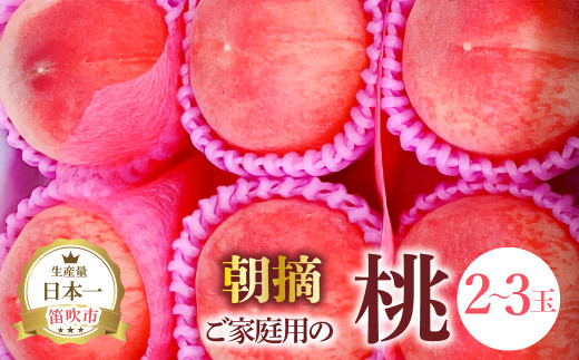 【2026年発送★先行予約】ご家庭用の桃2～3玉 111-022-26y