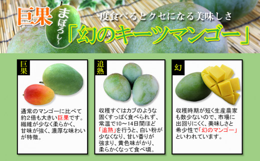 【先行受付】【2025年発送】ヤマト農園 キーツマンゴー約1.5kg - 産地直送 沖縄産 国産 果物 フルーツ 南国フルーツ 旬の味覚 追熟 先行予約 希少種 人気 おすすめ 送料無料 沖縄県 八重