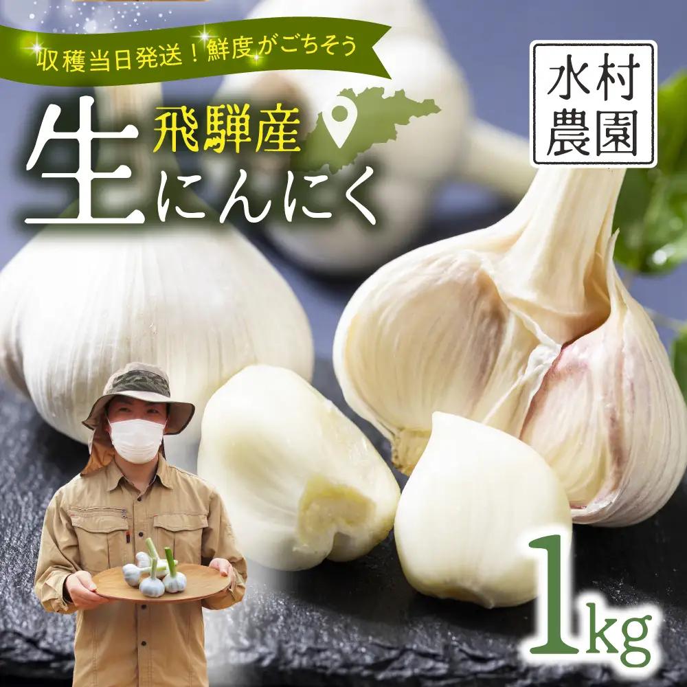 生にんにく 1kg 飛騨 にんにく 水村農園