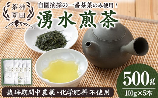 y312 《数量限定》鹿児島県湧水町産！栽培期間中農薬・化学肥料不使用！湧水煎茶(100g×5本) 国産 九州産 鹿児島県産 茶葉 お茶 茶 日本茶 緑茶 煎茶 一番茶 湧水茶 浅蒸し茶 ギフト 贈答 プレゼント 贈り物 令和7年産 新茶 【神田茶園】