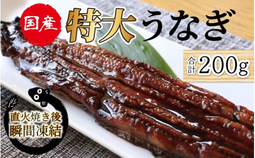 国産特大うなぎ　直火焼き後瞬間凍結　秘伝のタレ付き【急速冷凍】（プロトン凍結）