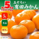 【ふるさと納税】みかん Lサイズ 秀品 箱込 5kg (内容量約 4.4kg) 有田みかん 和歌山県産 産地直送 贈答用 【みかんの会】 | フルーツ 果物 くだもの 食品 人気 おすすめ 送料無料