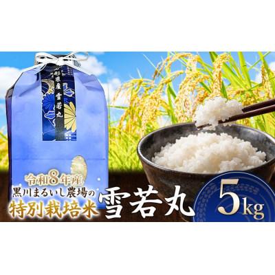 ふるさと納税 鶴岡市 【令和8年産】特別栽培米雪若丸精米5kg[K-837]