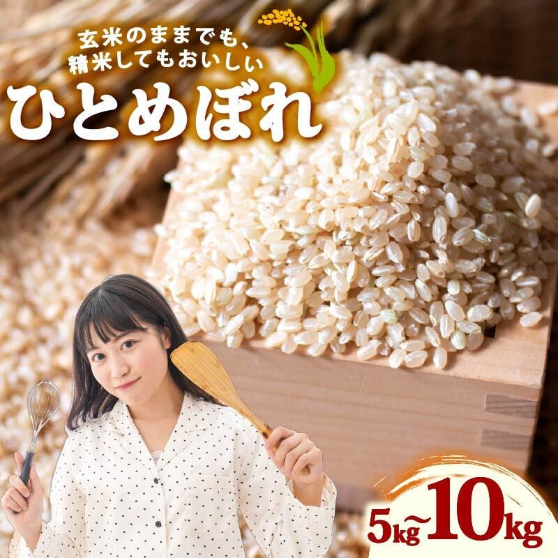 
            米 ひとめぼれ 新米 玄米 5～10kg お米 健康 ダイエット 米 日常 食卓 家庭用 ヒトメボレ 静岡県 牧之原市 もちもち あまい 食物繊維 ごはん  国産 大石農園 静岡県 牧之原市
          