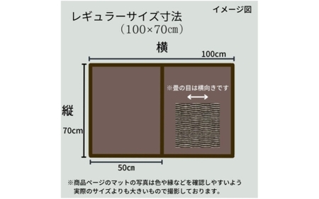  洗える折りたためる浴室畳マット【チャコール】【浴室マット 浴室畳マット 浴室用品 浴室備品 浴室 マット 岡山県 倉敷市 おすすめ 人気】