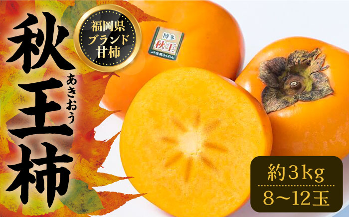
                  【先行予約】秋王 (あきおう) 柿 3kg 箱 (8-12玉)【2026年10月下旬～順次発送】《豊前市》【南国フルーツ】＜北海道・沖縄・離島配送不可＞[VBY007] フルーツ くだもの 果物 柿 かき カキ 柿
                