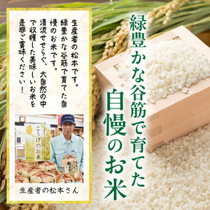 【令和6年産 新米】松本さんが作った上毛町尻高地区産の厳選米「夢つくし」9kg_K00701