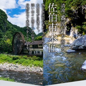 ＜令和5年産＞大分ひのひかり(計10kg・5kg×2袋) 米 ひのひかり ヒノヒカリ 精米 白米 大分県産 大分県 佐伯市【AJ80】【 (有)ケーキ大使館クアンカ・ド－ネ】