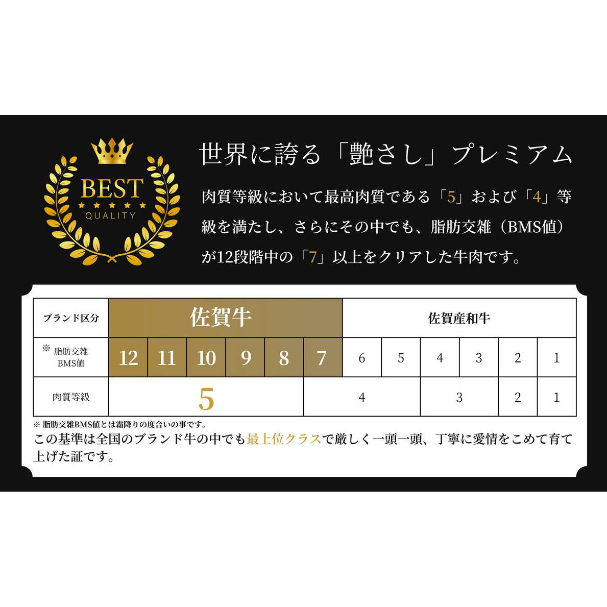 佐賀牛 赤身 モモステーキ 200g×2枚 牛肉 赤身ステーキ 黒毛和牛赤身 和牛赤身ステーキ 赤身ブロック 赤身モモ 赤身 N20-29_イメージ5
