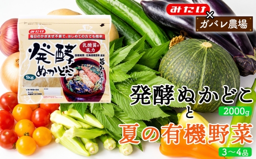 【コラボC】発酵ぬかどこ1kg×2＆夏の有機野菜3～4品 ／ ぬか漬け ぬかどこ 発酵ぬかどこ 有機野菜 旬野菜 夏野菜 野菜セット 漬物 手作り 簡単調理 かき混ぜ不要 発酵食品 常備菜 一品追加 食卓 埼玉県 特産品 No.618