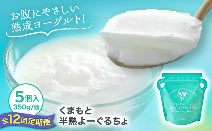 
                  【全12回定期便】オオヤブデイリーファーム くまもと半熟よーぐるちょ 350g×5個 / よーぐるちょ ヨーグルト よーぐると ノンホモ 濃厚 熟成 朝食 デザート 乳製品 乳酸菌 熊本 合志 人気【株式会社 オオヤブデイリーファーム】[AYAE024]
                