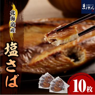 ふるさと納税 えりも町 えりも【マルデン特製】塩サバ 200g以上×10枚【er002-040-a】