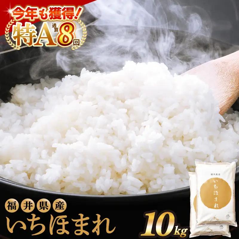 【令和8年産 新米】いちほまれ 精米 10kg 福井県 ブランド米 白米 [e27-b018]