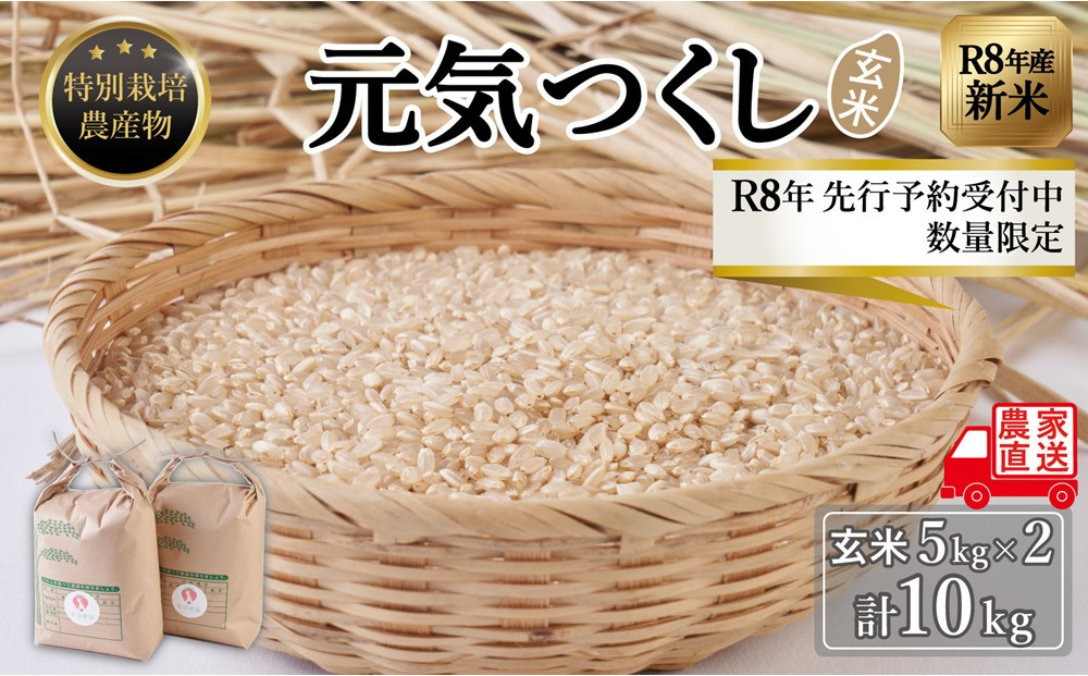 【令和6年度新米】玄米(特別栽培農産物)元気つくし 5kg×2袋 (計10kg)