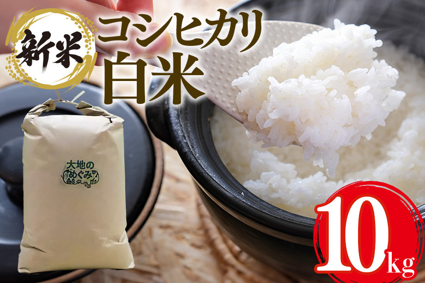 
            【令和6年産】 お米 ( コシヒカリ) 白米 10kg お米 白米 米 おこめ ブランド米 こしひかり 10キロ 国産 単一原料米 コメ こめ ご飯 銘柄米 茨城県産 茨城 産直 産地直送 農家直送 お取り寄せ ごはん 冷めても美味しい 甘み 家庭用 贈答用 茨城県 石岡市 (G407)
          