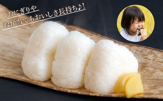 【先行予約】【定期便】令和8年産 小松産こしひかり 精米 5kg×2ヶ月（毎月） 米 お米｜石川県 小松市 JA小松市