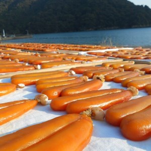 【 珍味 】 高級からすみ 珍味 70g以上