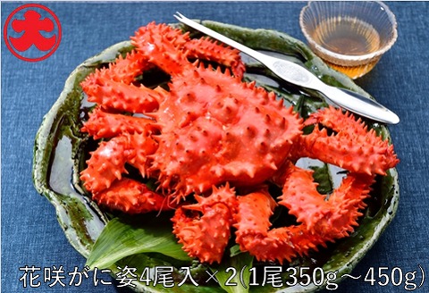 【北海道根室産】花咲がに姿350～450g×8尾 B-01050