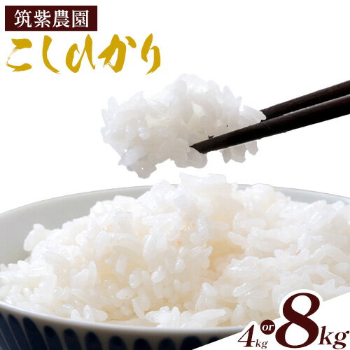 【ふるさと納税】うぶやま産コシヒカリ 選べる コシヒカリ 4kg 8kg 筑紫農園《9月中旬以降出荷予定》食品 米 こしひかり 白米