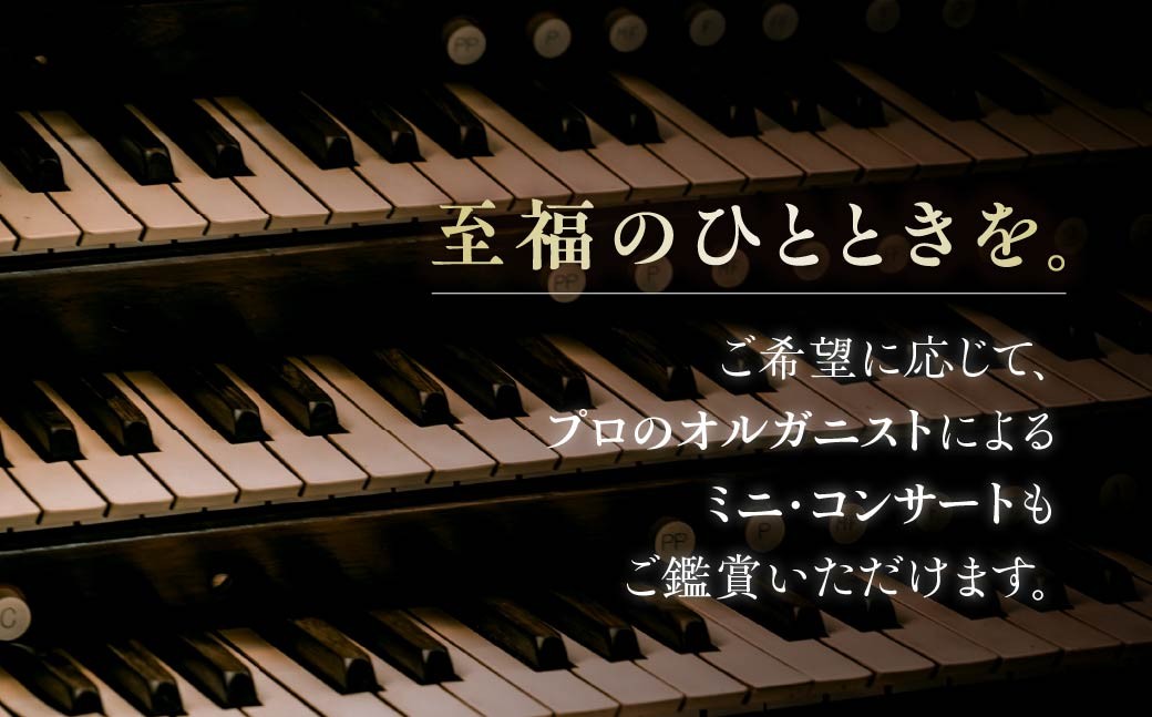 イベント 体験 体験イベント パイプオルガン オルガン ピアノ オーストリア 楽器 演奏 コンサート 音楽 ミュージック