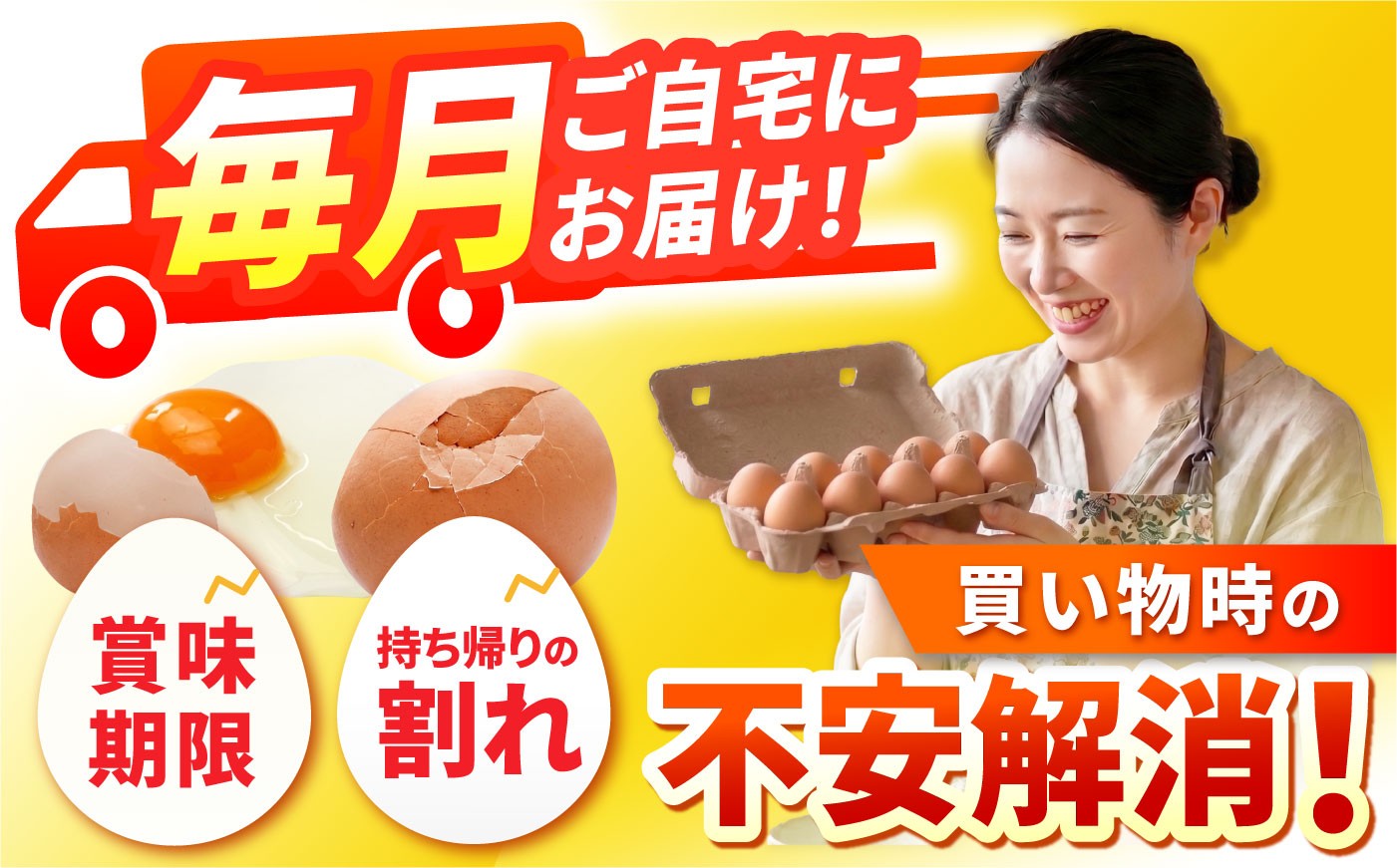 12回 定期便 たまご 卵 玉子 タマゴ 鶏卵 オムレツ 卵かけご飯 朝食 料理 人気 卵焼き 定期便 12ヶ月 12か月