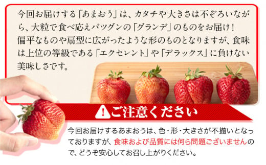 ★2025年出荷分★【先行予約】あまおう いちご 540g 【着日指定不可】《3月中旬-4月末頃出荷予定》苺 いちご イチゴ フルーツ 特産品---fn_ckrama_bc3_25_6000_540g