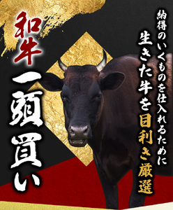 尾呂志屋精肉店の和牛ロース すき焼き用 250g 【1か月以内に順次発送】 /  和牛 すきやき すき焼き 牛肉 牛 精肉 【ors008B】
